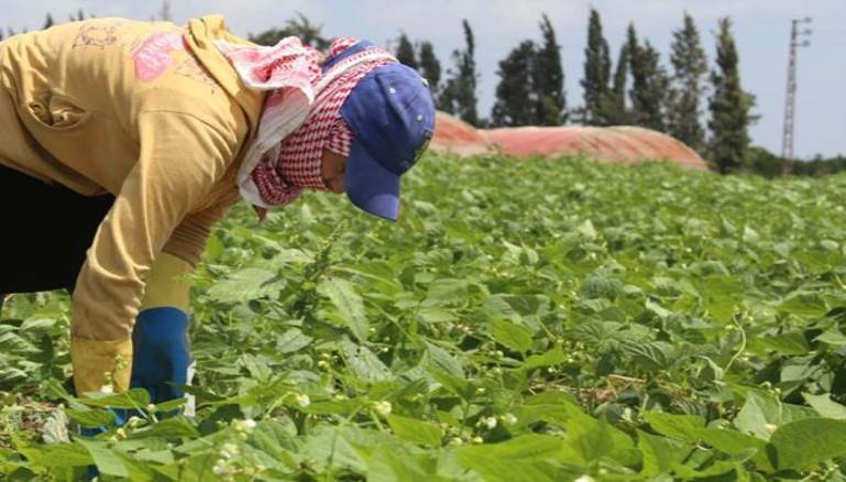 إيطاليا: وضع مغربي تحت الإقامة الجبرية بشبهة استعباد المزارعين وعدم احترام حقوقهم