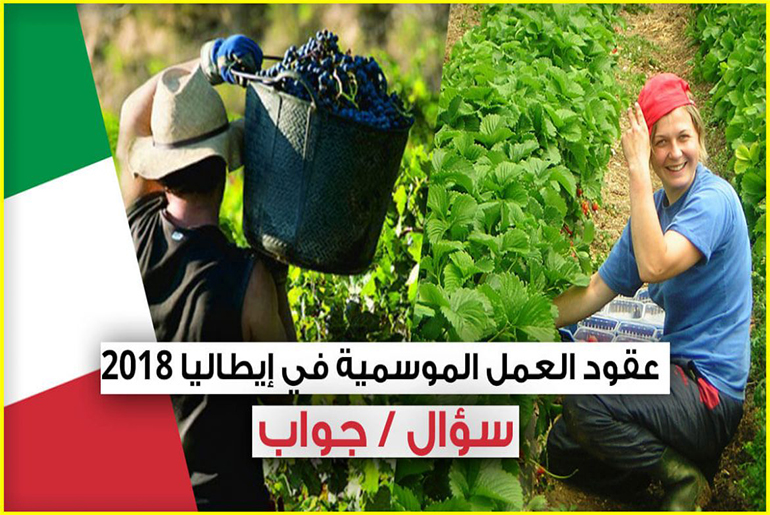 إيطاليا :   انطلاق تسجيل عقود العمل الموسمي لسنة 2019… إليكم طريقة التسجيل