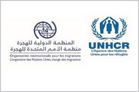 هيئتان أمميتان تدقان ناقوس الخطر حول وضع المهاجرين بتونس