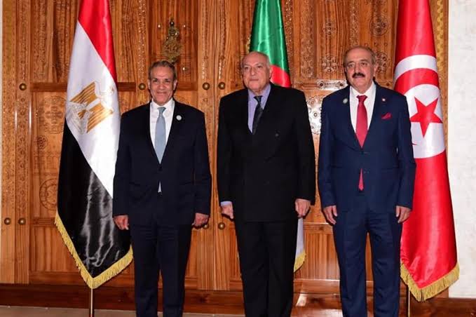 تونس والجزائر ومصر تعزز تنسيقها الدبلوماسي بشأن الأزمة الليبية وتدعو إلى إنهاء التدخلات الأجنبية